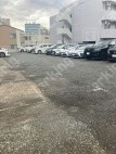 月極駐車場 車室写真 1枚目