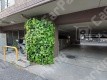 大森西1 月極駐車場 駐車場外観写真 1枚目