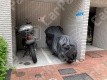 八丁堀2 バイク月極駐車場 駐車場外観写真 3枚目