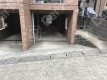 月極駐車場の周辺写真