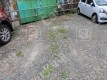 月極駐車場 車室写真 2枚目