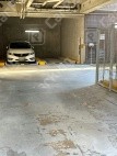 戸部町6 月極駐車場 車室写真 3枚目