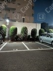 月極駐車場 その他写真 3枚目