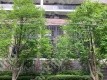 薬院2 月極駐車場 駐車場外観写真 3枚目