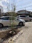 K’s黒砂台1丁目 月極駐車場 駐車場外観写真 1枚目