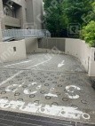 愛宕1 月極駐車場の周辺写真