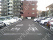 月極駐車場 その他写真 2枚目